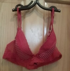 Sexy French Push Up Bra